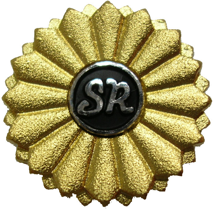 Shakaihokenroumushi_badge.jpg